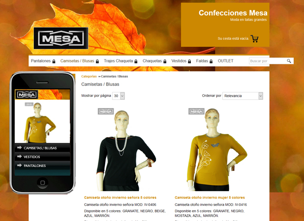 Exemple de disseny web botiga online presentació productes